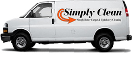 simply clean  van